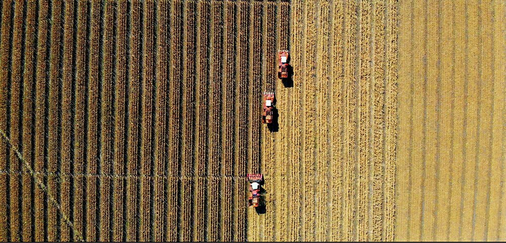 <p>Agribusiness at a crossroads: Navigating tariffs and tax cuts</p>
