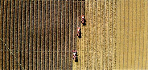 Agribusiness at a crossroads: Navigating tariffs and tax cuts