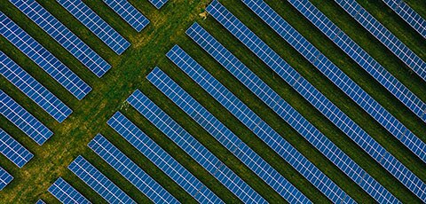 Cultivating sustainable agriculture industry practices requires a strategic process