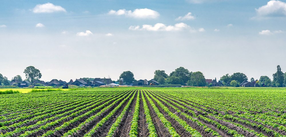 Single-purpose agriculture financing