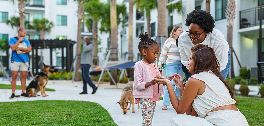 <p>Understanding Los Angeles' Complex Affordable Housing Ecosystem</p>
