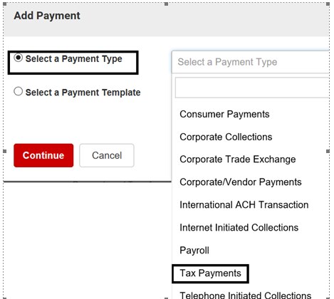 ACH Create Tax Template