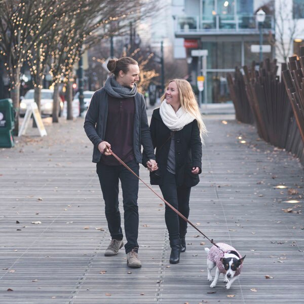 couple walking a dog