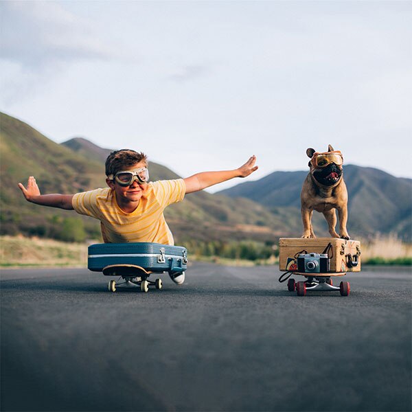 boy and dog riding on skateboards