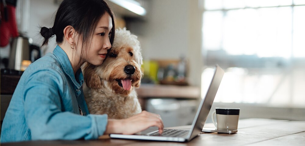 Person working on a laptop at home with a dog nearby, illustrating budgeting, financial planning, and strategies for paying off student loans.