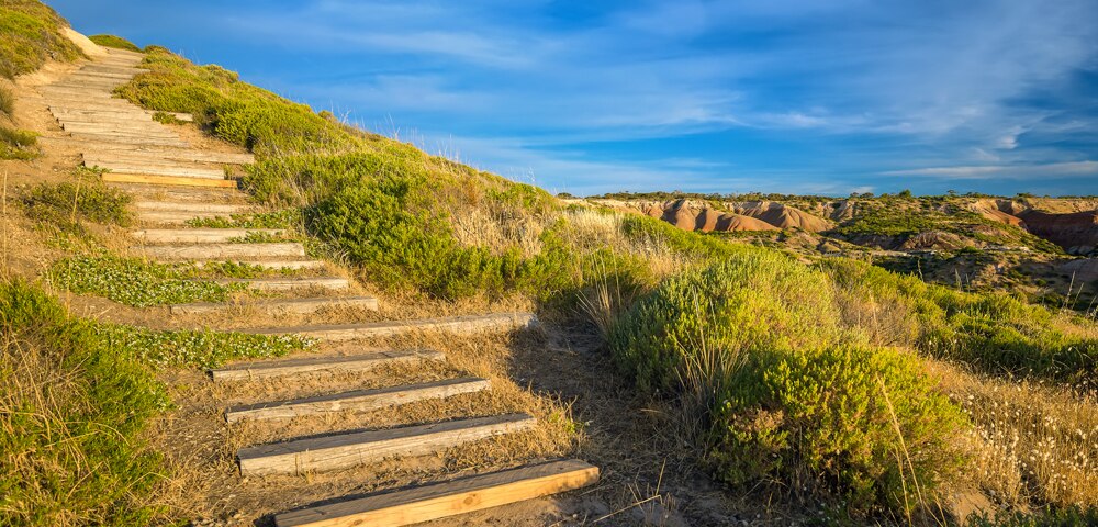 steps and grass leading up to the top of a hill