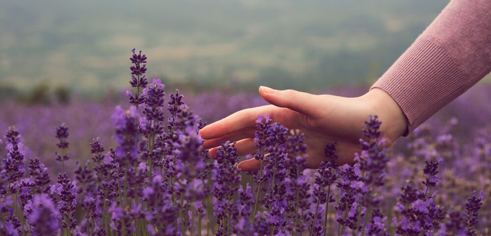 woman touching lilacs in a field
