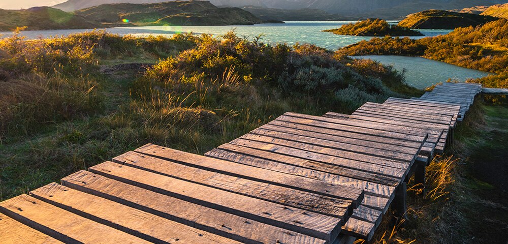 Wooden steps to lake